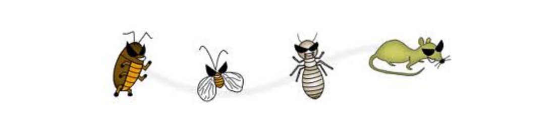 札幌害獣・害虫駆除